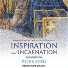 Peter Enns, David Colacci - Inspiration and Incarnation: Evangelicals and the Problem of the Old Testament (Audio book)
