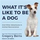 Gregory Berns, Joe Hempel - What It's Like to Be a Dog Lib/E: And Other Adventures in Animal Neuroscience (Audio book)