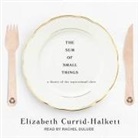 Elizabeth Currid-Halkett, Rachel Dulude - The Sum of Small Things Lib/E: A Theory of the Aspirational Class (Audio book)