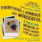 Stephanie Wittels Wachs, Stephanie Wittels Wachs - Everything Is Horrible and Wonderful: A Tragicomic Memoir of Genius, Heroin, Love and Loss (Audio book)