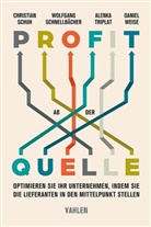 Wolfgang Schnellbächer, Christian Schuh, Triplat, Alenka Triplat, Daniel Weise - Profit ab der Quelle
