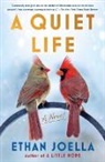 Ethan Joella, Ethan Joella - Quiet Life