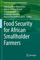 Adornis Dakarai Nciizah, Ndakalimwe Naftal Gabriel, Binganidzo Muchara, Hupenyu Allan Mupambwa, Adornis Dakarai Nciizah, Patrick Nyambo... - Food Security for African Smallholder Farmers