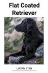 Lucian Stan - Flat Coated Retriever
