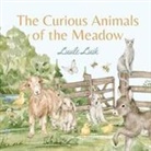 Luule Luik - The Curious Animals of the Meadow