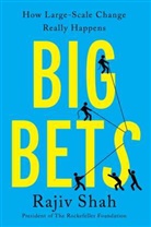 Rajiv Shah, Shah Rajiv - Big Bets