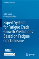 Chung-Youb Kim, Ji-Ho Song - Expert System for Fatigue Crack Growth Predictions Based on Fatigue Crack Closure