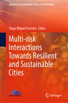 Tiago Miguel Ferreira, Tiago Miguel Ferreira - Multi-risk Interactions Towards Resilient and Sustainable Cities