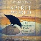 Sandra Ingerman, Hank Wesselman, Leslie Howard - Awakening to the Spirit World Lib/E: The Shamanic Path of Direct Revelation (Audio book)
