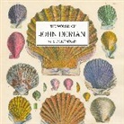 John Derian, Workman Calendars, John Workman Calendars Derian - The World of John Derian Calendar 2023
