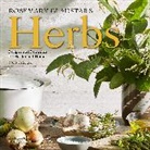 Rosemary Gladstar, Gladstar Rosemary, Workman Calendars, Rosemary Workman Calendars Gladstar - Rosemary Gladstar's Herbs Calendar 2023