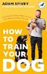 Adam Spivey - How to Train Your Dog
