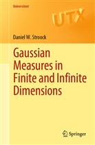 Daniel W Stroock, Daniel W. Stroock - Gaussian Measures in Finite and Infinite Dimensions