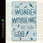 Jared C. Wilson, Jared C. Wilson - Wonder-Working God: Seeing the Glory of Jesus in His Miracles (Audio book)