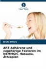 Bruke Billoro - ART-Adhärenz und zugehörige Faktoren im NEMMGH, Hossana, Äthiopien