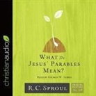 R. C. Sproul, George W. Sarris - What Do Jesus' Parables Mean? Lib/E (Audio book)