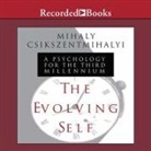 Mihaly Csikszentmihalyi, Lloyd James, Sean Pratt - The Evolving Self Lib/E: A Psychology for the Third Millennium (Hörbuch)