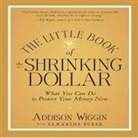 Addison Wiggin, Joe Geoffrey - The Little Book of the Shrinking Dollar: What You Can Do to Protect Your Money Now (Hörbuch)