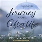 Kristy Robinett, Margaret Strom - Journey to the Afterlife: Comforting Messages & Lessons from Loved Ones in Spirit (Audio book)