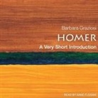 Barbara Graziosi, Anne Flosnik - Homer Lib/E: A Very Short Introduction (Hörbuch)