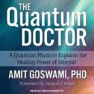 Sean Runnette - The Quantum Doctor Lib/E: A Quantum Physicist Explains the Healing Power of Integral (Hörbuch)
