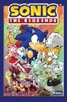 Ian Flynn, Thomas Rothlisberger, Evan Stanley, Adam Bryce Thomas - Sonic the Hedgehog, Vol. 15: Urban Warfare