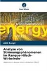 Adib Bazgir - Analyse von Strömungsphänomenen im Ranque-Hilsch-Wirbelrohr