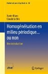 Xavier Blanc, Claude Le Bris - Homogénéisation en milieu périodique... ou non