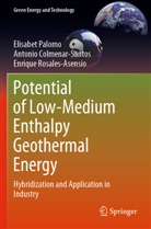 Antonio Colmenar-Santos, Elisabet Palomo, Rosales-, Enrique Rosales-Asensio - Potential of Low-Medium Enthalpy Geothermal Energy