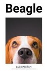 Lucian Stan - Beagle