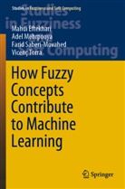 Mahdi Eftekhari, Adel Mehrpooya, F Saberi-Movahed, Farid Saberi-Movahed, Vicenç Torra - How Fuzzy Concepts Contribute to Machine Learning