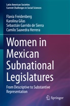 Flavia Freidenberg, Garrido de Sie, Sebastián Garrido de Sierra, Karolina Gilas, Camilo Saavedra Herrera - Women in Mexican Subnational Legislatures