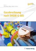 Günter Fischer, Alexander Klügl - Gasabrechnung nach DVGW G 685