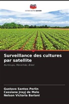 Nelson Victoria Bariani, Cassiane Jrayj de Melo, Gustavo Santos Perlin - Surveillance des cultures par satellite