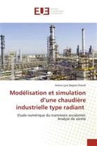 Amina Lyria Deghal Cheridi - Modélisation et simulation d'une chaudière industrielle type radiant