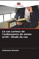 Kudzanayi Nzombe - Le cas curieux de l'ordonnance de saisie-arrêt : Étude de cas