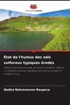Nodira Bahromovna Raupova - État de l'humus des sols sulfureux typiques érodés
