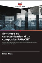 Lilian Muia - Synthèse et caractérisation d'un composite PAN/CNT