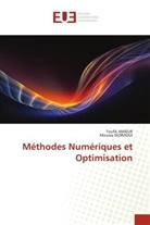 Toufik Amieur, Moussa Sedraoui - Méthodes Numériques et Optimisation