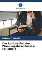 Kudzanayi Nzombe - Der kuriose Fall des Pfändungsbeschlusses: Fallstudie