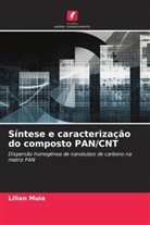 Lilian Muia - Síntese e caracterização do composto PAN/CNT