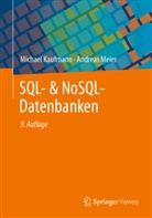Michael Kaufmann, Andreas Meier - SQL- & NoSQL-Datenbanken