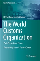 Héctor Hugo Juárez Allende - The World Customs Organization