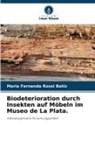 Maria Fernanda Rossi Batiz - Biodeterioration durch Insekten auf Möbeln im Museo de La Plata.