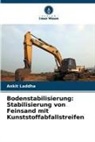 Ankit Laddha - Bodenstabilisierung: Stabilisierung von Feinsand mit Kunststoffabfallstreifen