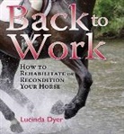 Lucinda Dyer - Back to Work
