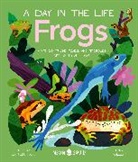 Itzue W. Caviedes-Solis, Neon Squid, Henry Rancourt - Frogs (A Day in the Life)