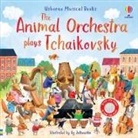Sam Taplin, Taplin Sam, Ag Jatkowska, Jatkowska Ag - Animal Orchestra Plays Tchaikovsky