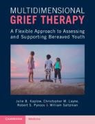 Julie B. Kaplow, Julie B. (Tulane University School of Medi Kaplow, Julie B. (Tulane University School of Medicine Kaplow, Kaplow Julie B., Christopher M. Layne, Christopher M. (Nova Southeastern University Layne... - Multidimensional Grief Therapy