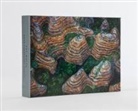 Art Wolfe, Art Wolfe, Wolfe Art - Art Wolfe: Extraordinary Earth Blank Boxed Notecards